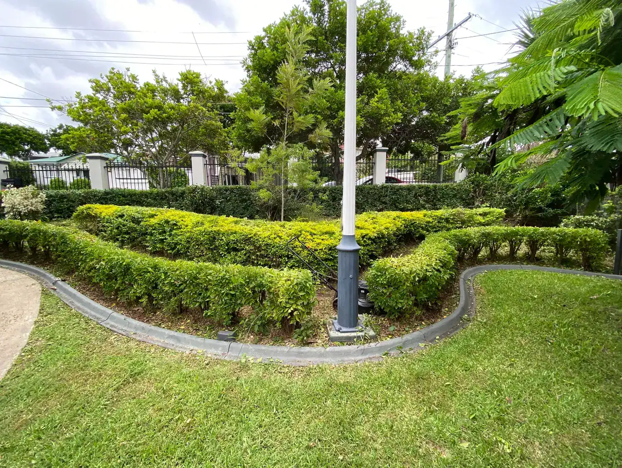 Hedge Shaping - Service Page