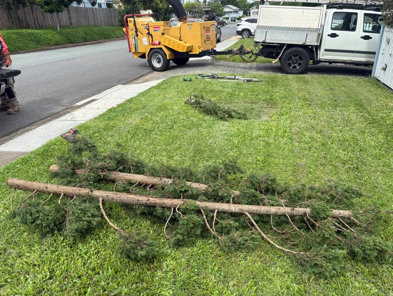 Tree Debris - Service Page